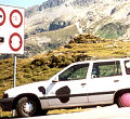Kuh - Kadett